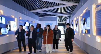 津巴布韦国家电网客户一行到访亚星电气参观考察